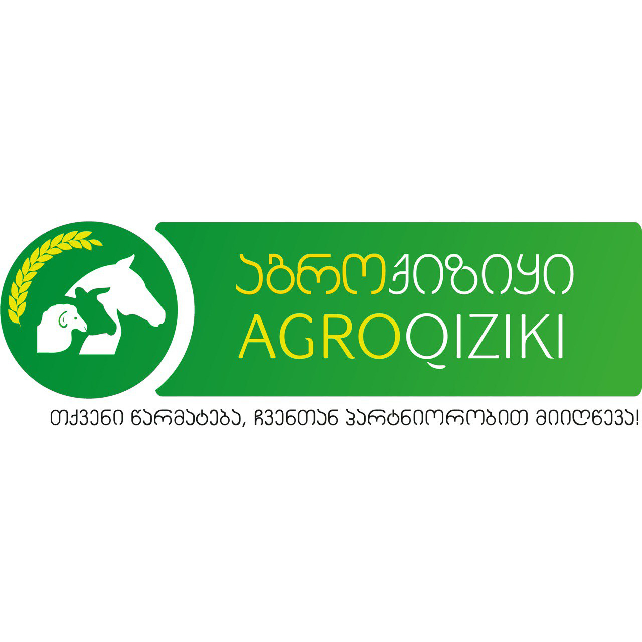 აგროქიზიყი