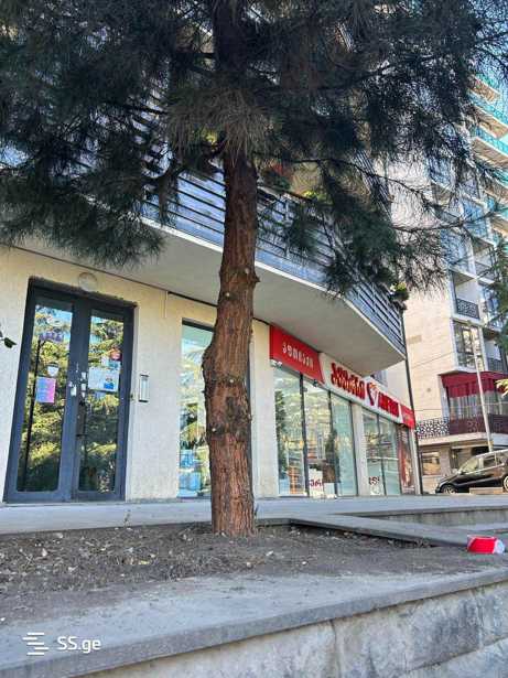 https://static.ss.ge/20251112/15_1dda6fda-6f97-4be7-ab86-fbcfba043725_Thumb.jpg