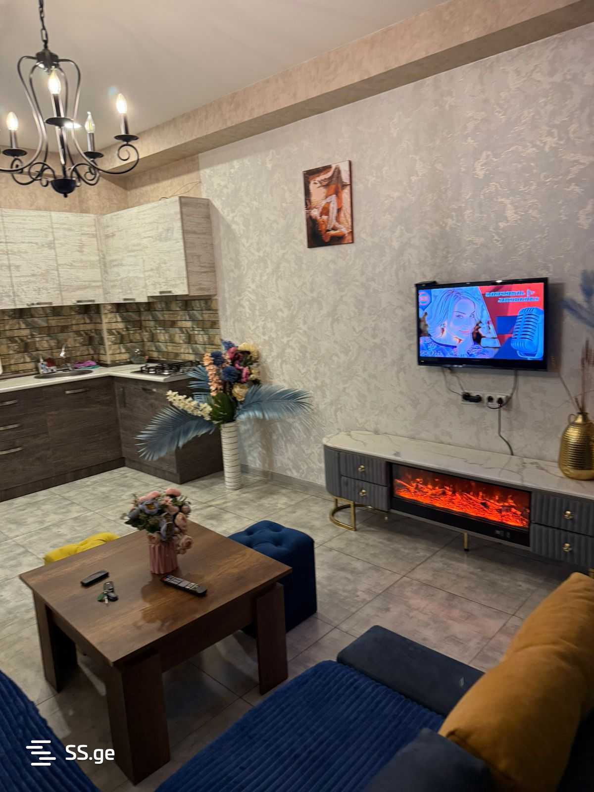 2 Room Flat Daily Rent. Nadzaladevi view 1
