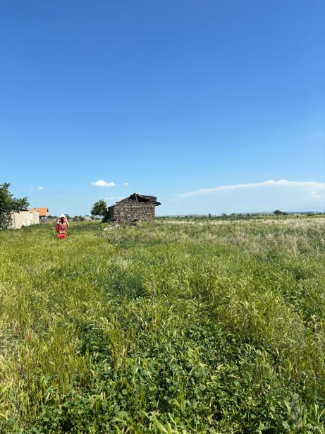 Land For Sale. Gamarjveba