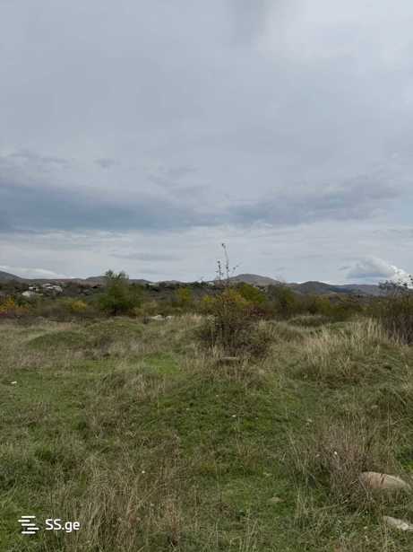 https://static.ss.ge/20251113/18_9cf64077-1c2a-4a36-9a9a-37b7bd662b62_Thumb.jpg
