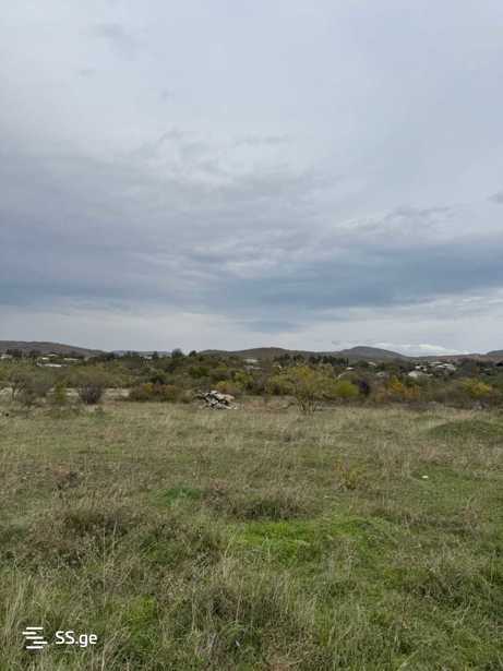 https://static.ss.ge/20251113/2_a0421253-ec1c-4fd3-9e5c-57666c451b2a_Thumb.jpg