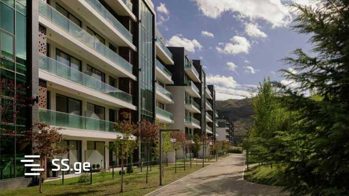 https://static.ss.ge/20251113/3_7e182a6b-0c7e-459a-80e5-615212f2f119_Thumb.jpg
