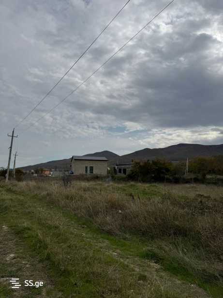 https://static.ss.ge/20251113/6_762ccd25-f378-41c5-bfa3-abf9d2d6d173_Thumb.jpg