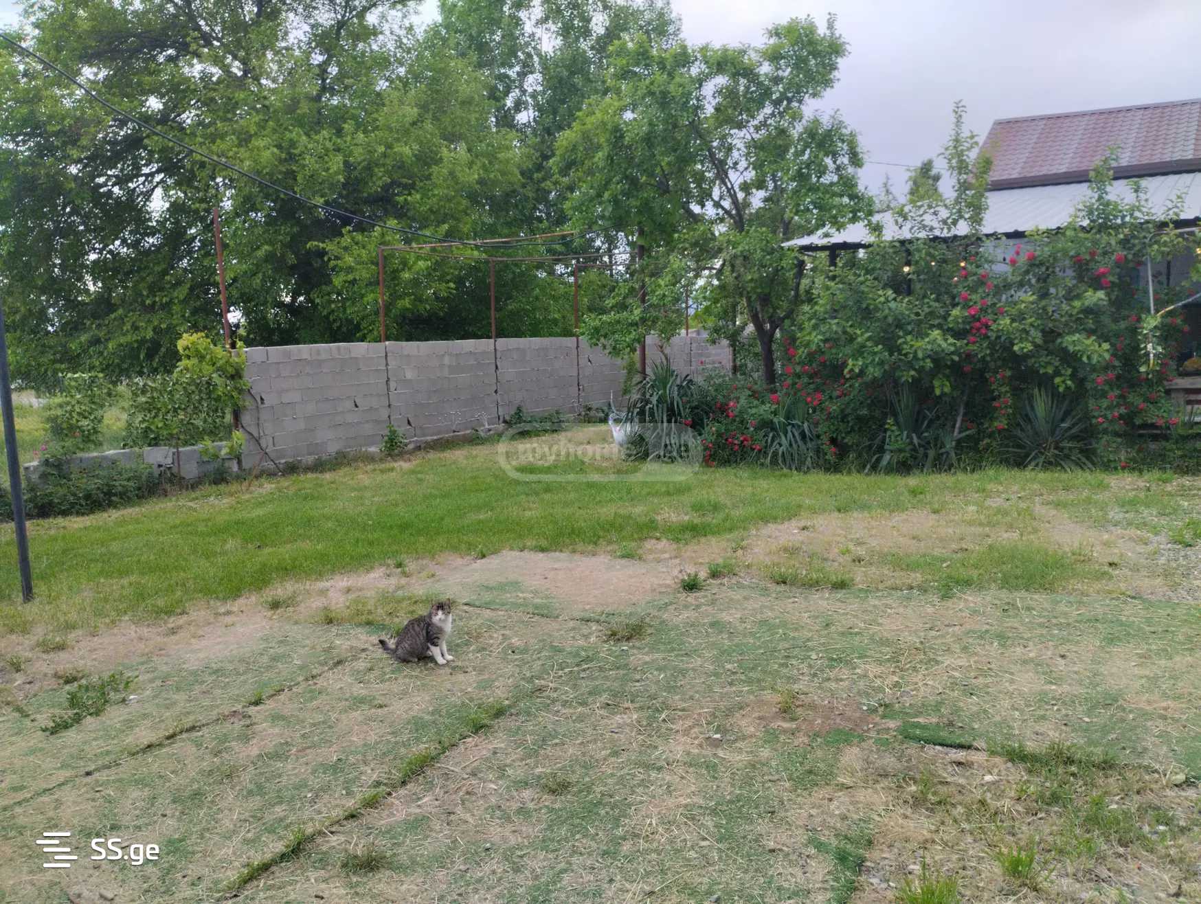 4 Room Private House Daily Rent. Didi Lilo view 14