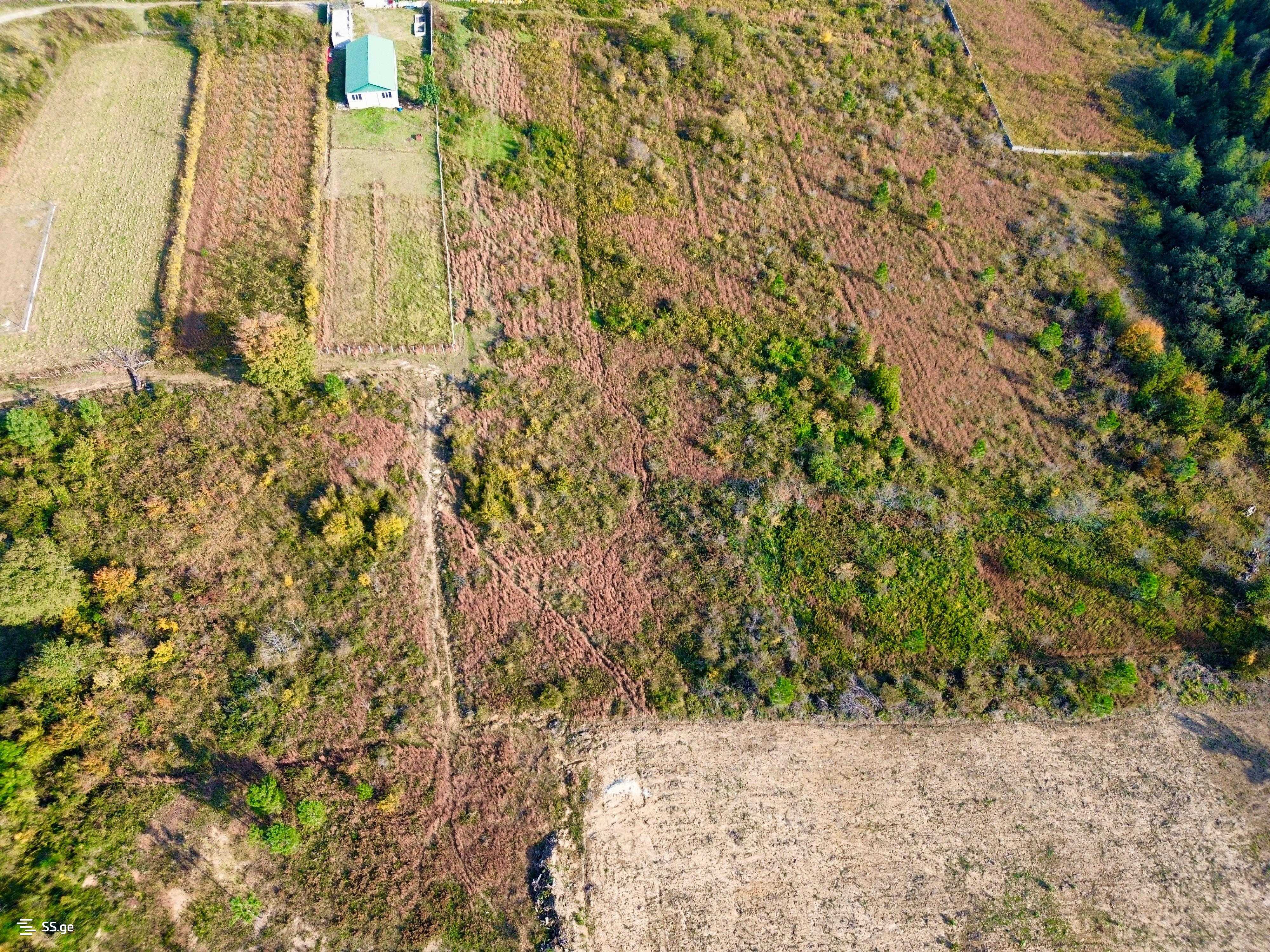 Land For Rent. Tskaltubo view 5