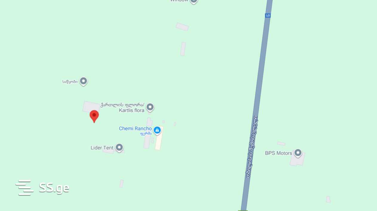 For Sale Sasatsqobe Commercial Space Gardabanshi view 16