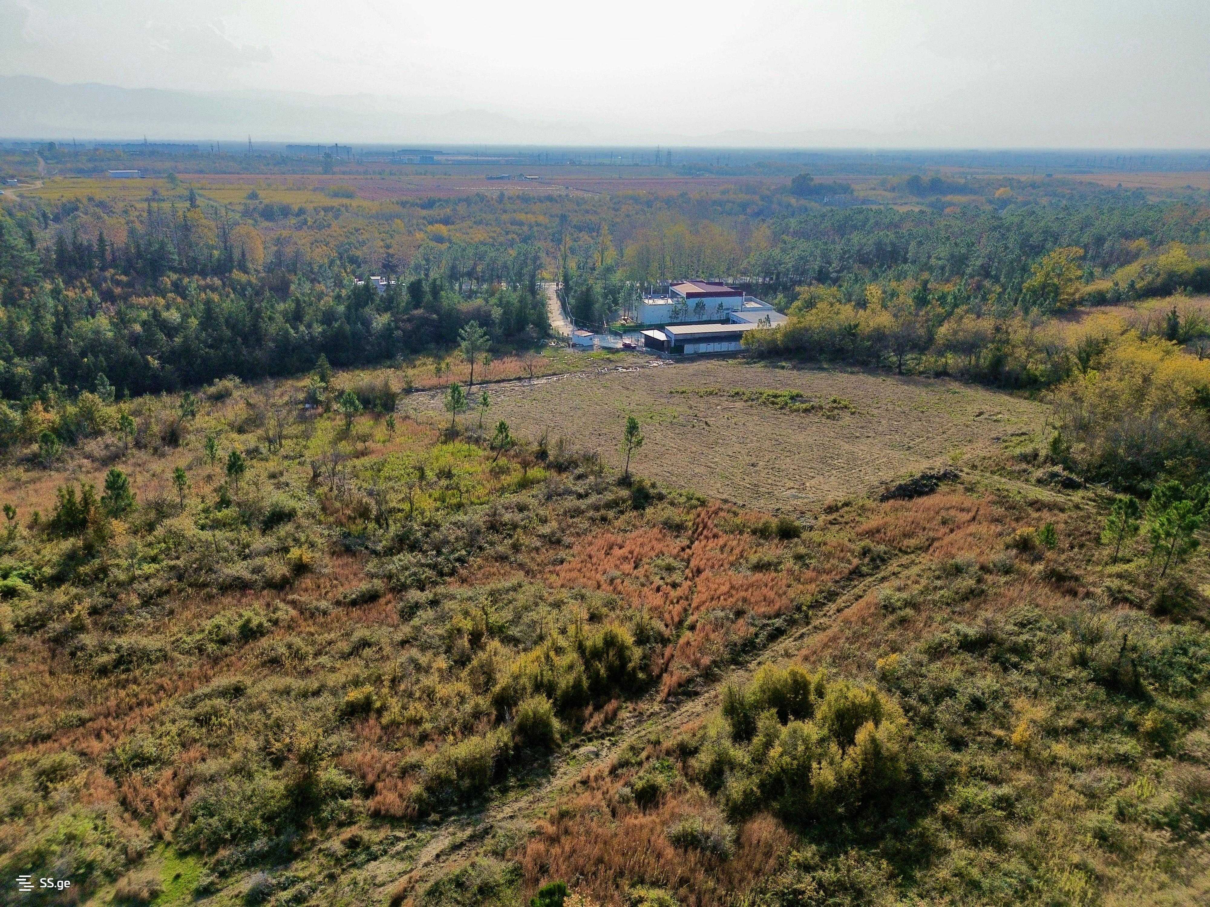 Land For Rent. Tskaltubo view 1
