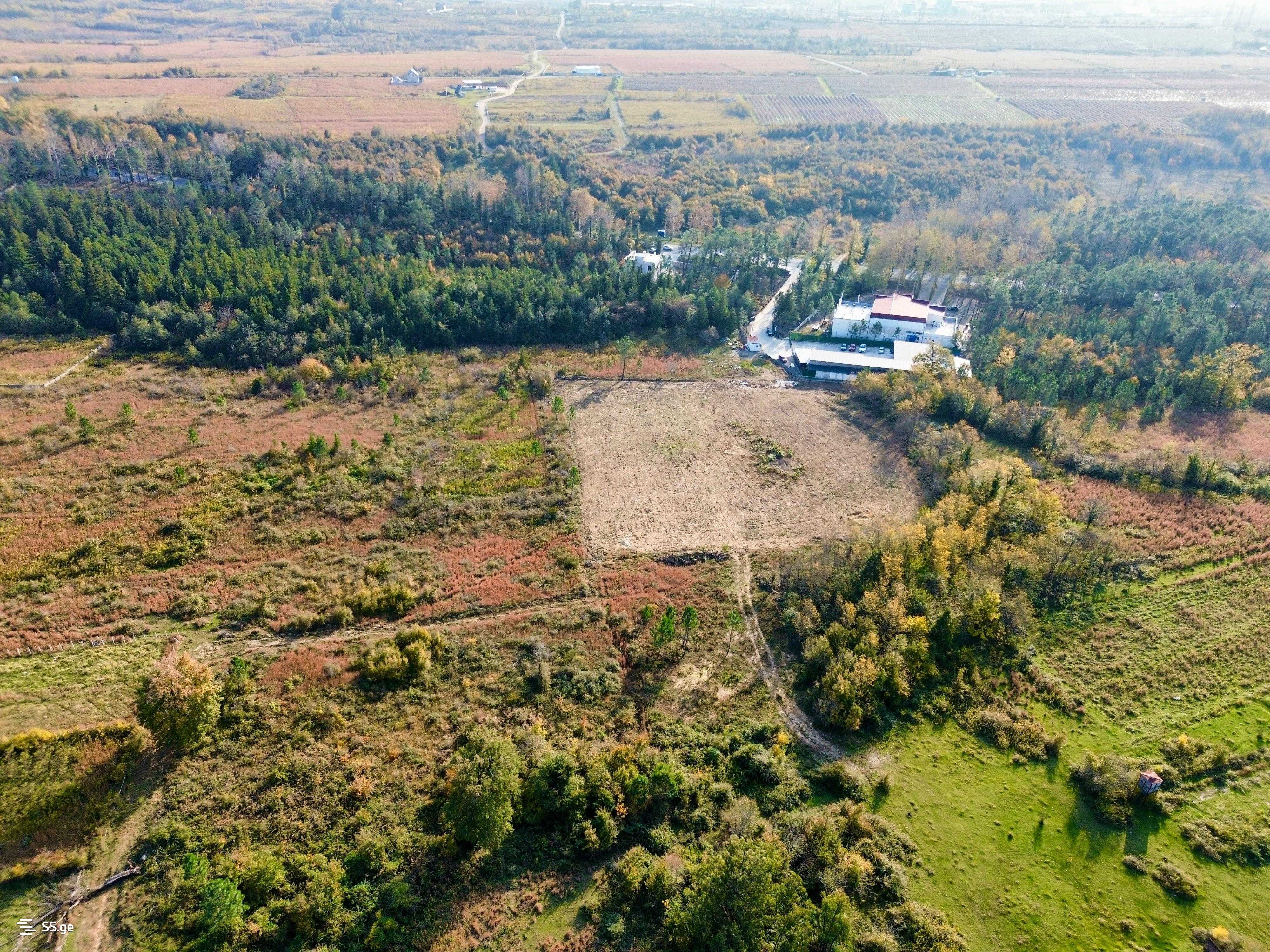 Land For Rent. Tskaltubo view 3