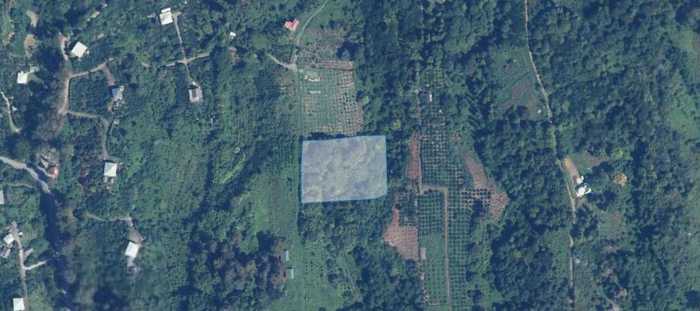 Land For Sale. Kvemo Natanebi