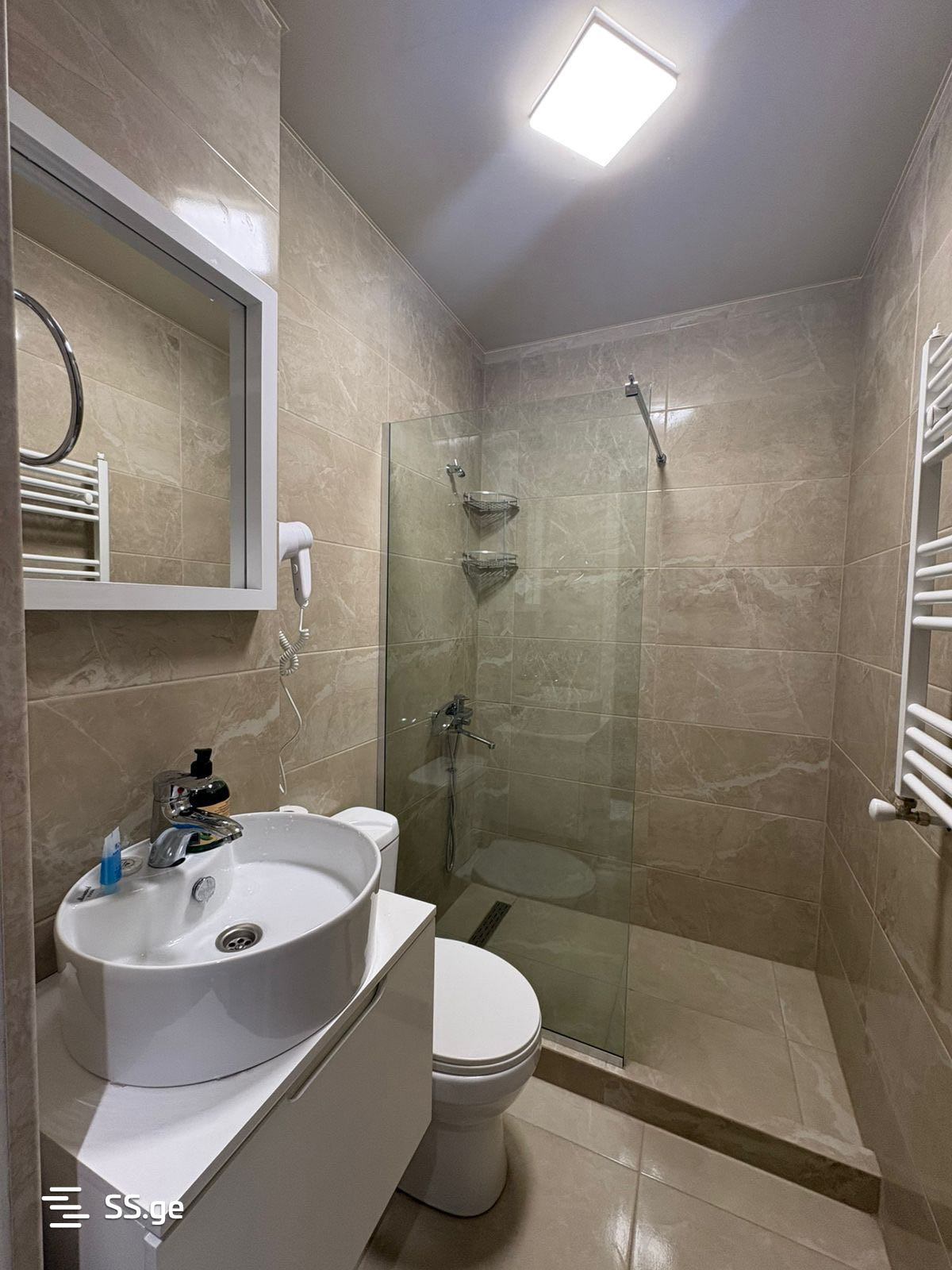2 Room Flat Daily Rent. Kutaisi view 9