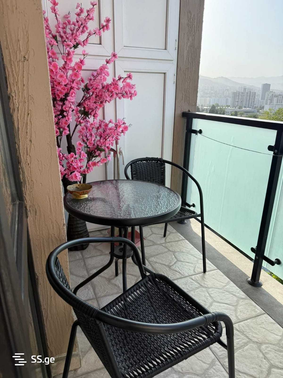 2 Room Flat Daily Rent. Nadzaladevi view 4