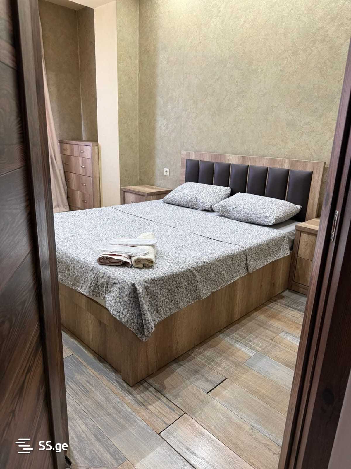 2 Room Flat Daily Rent. Nadzaladevi view 5