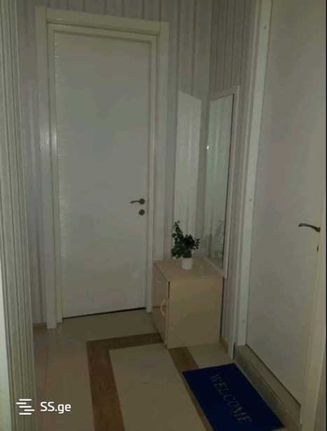 https://static.ss.ge/20251115/17_741c97b9-36d8-4140-a21d-1fc2beeea972_Thumb.jpg