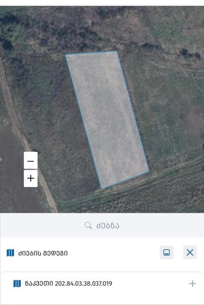 https://static.ss.ge/20251115/19_e321d536-9c10-47c7-a857-a8b6d47524d2_Thumb.jpg