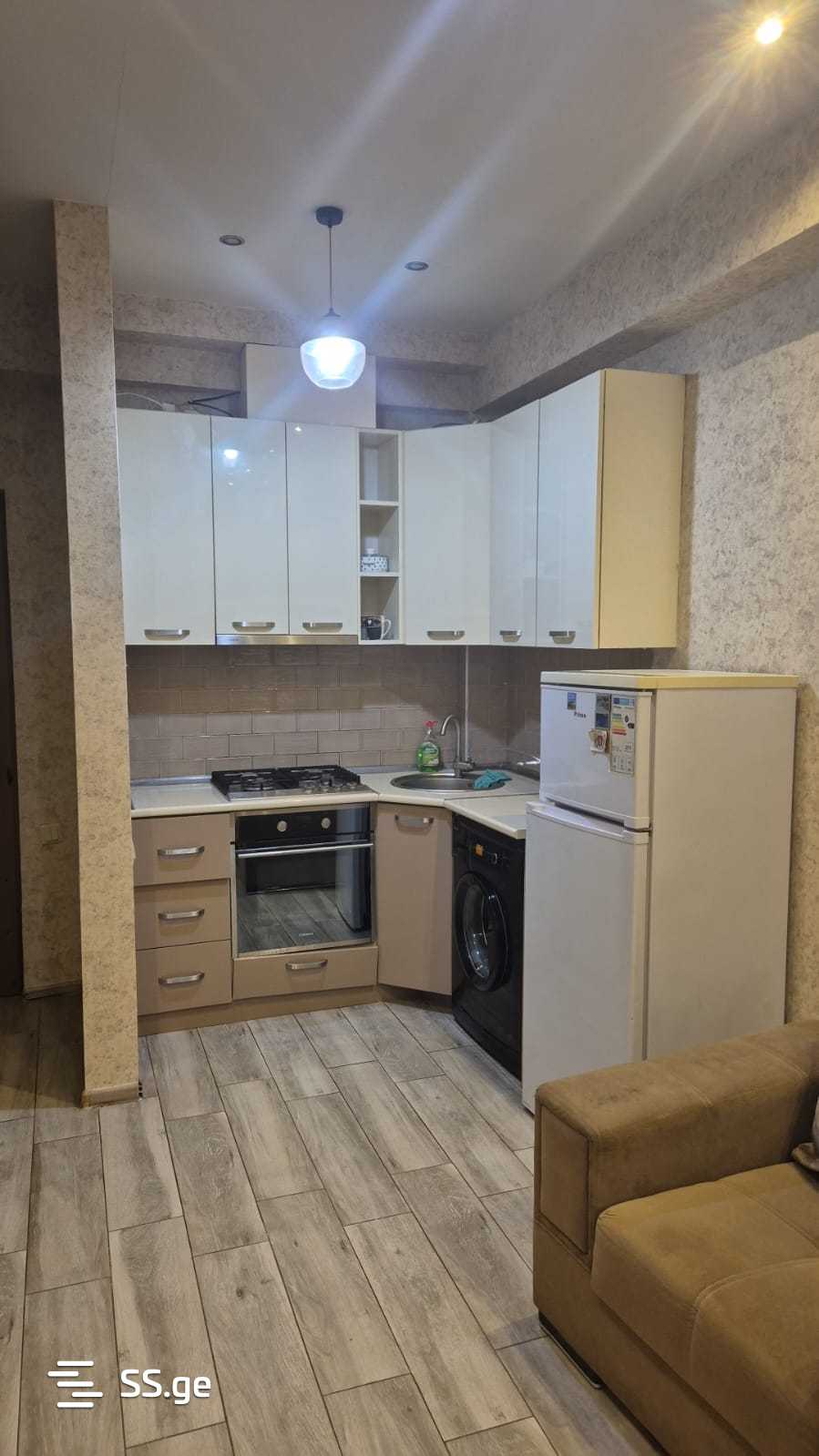 2 Room Flat Daily Rent. Nadzaladevi view 3