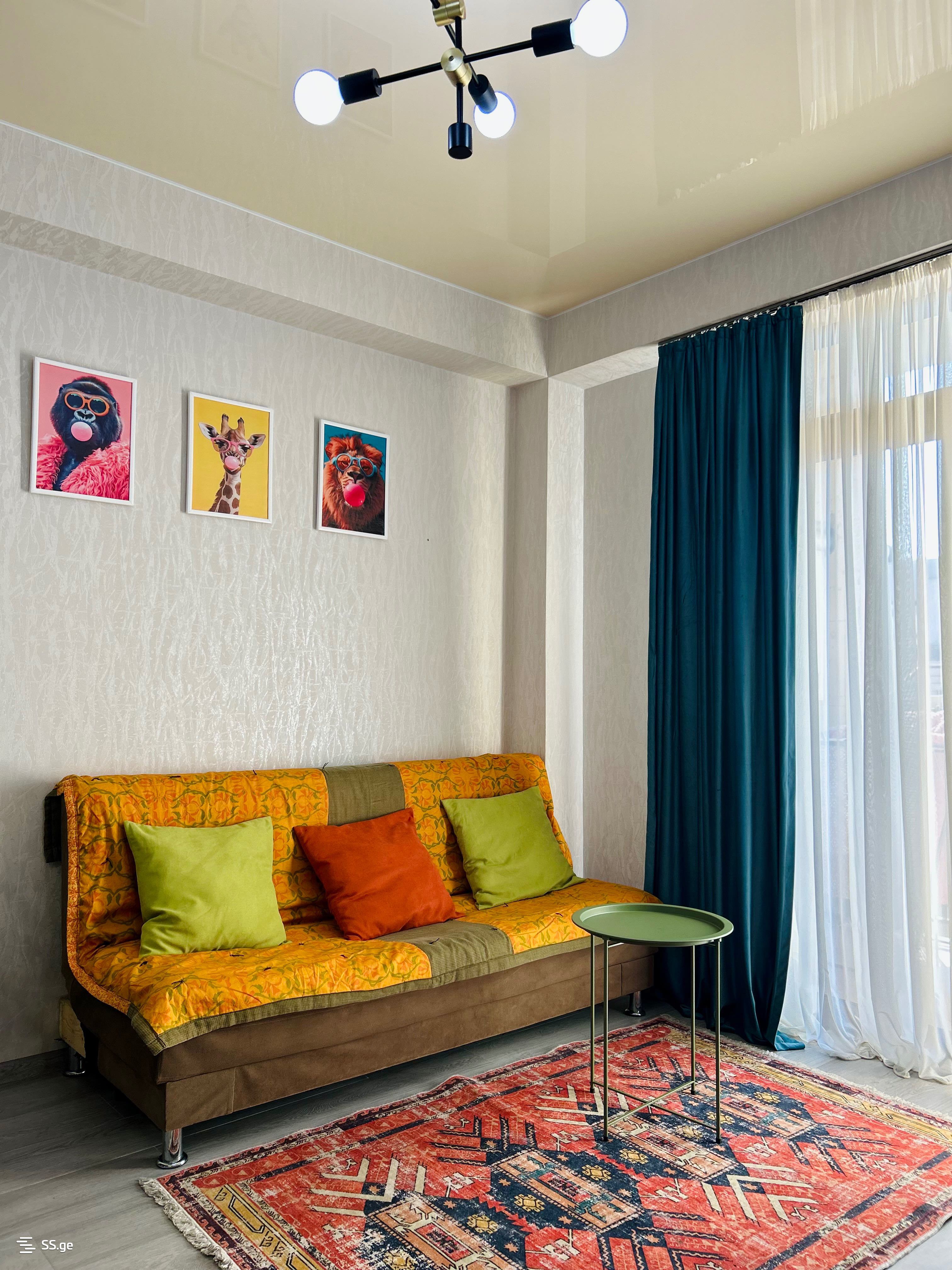 2 Room Flat Daily Rent. Didi Digomi, 3 of 4