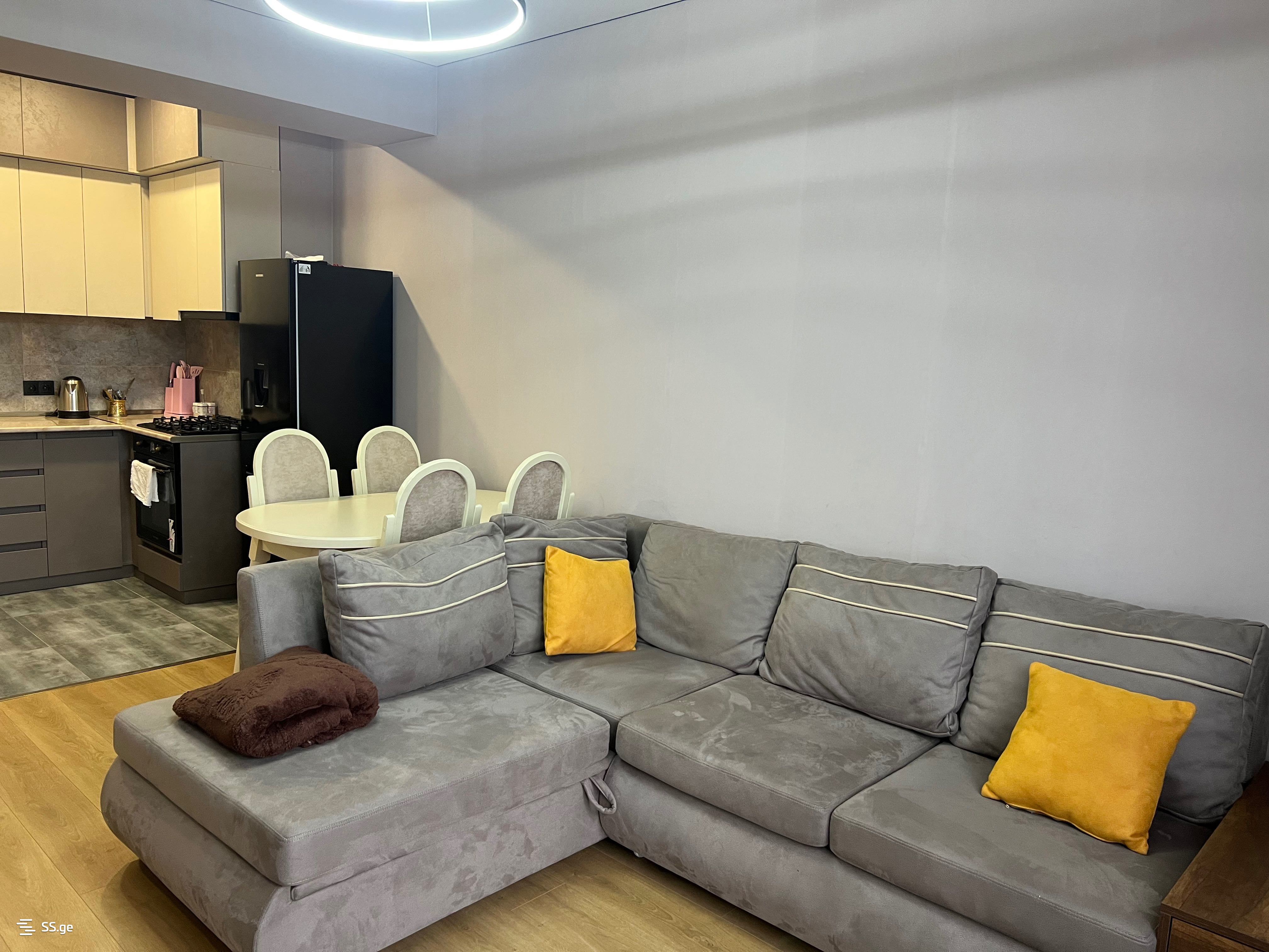 2 Room Flat Daily Rent. Samgori view 4