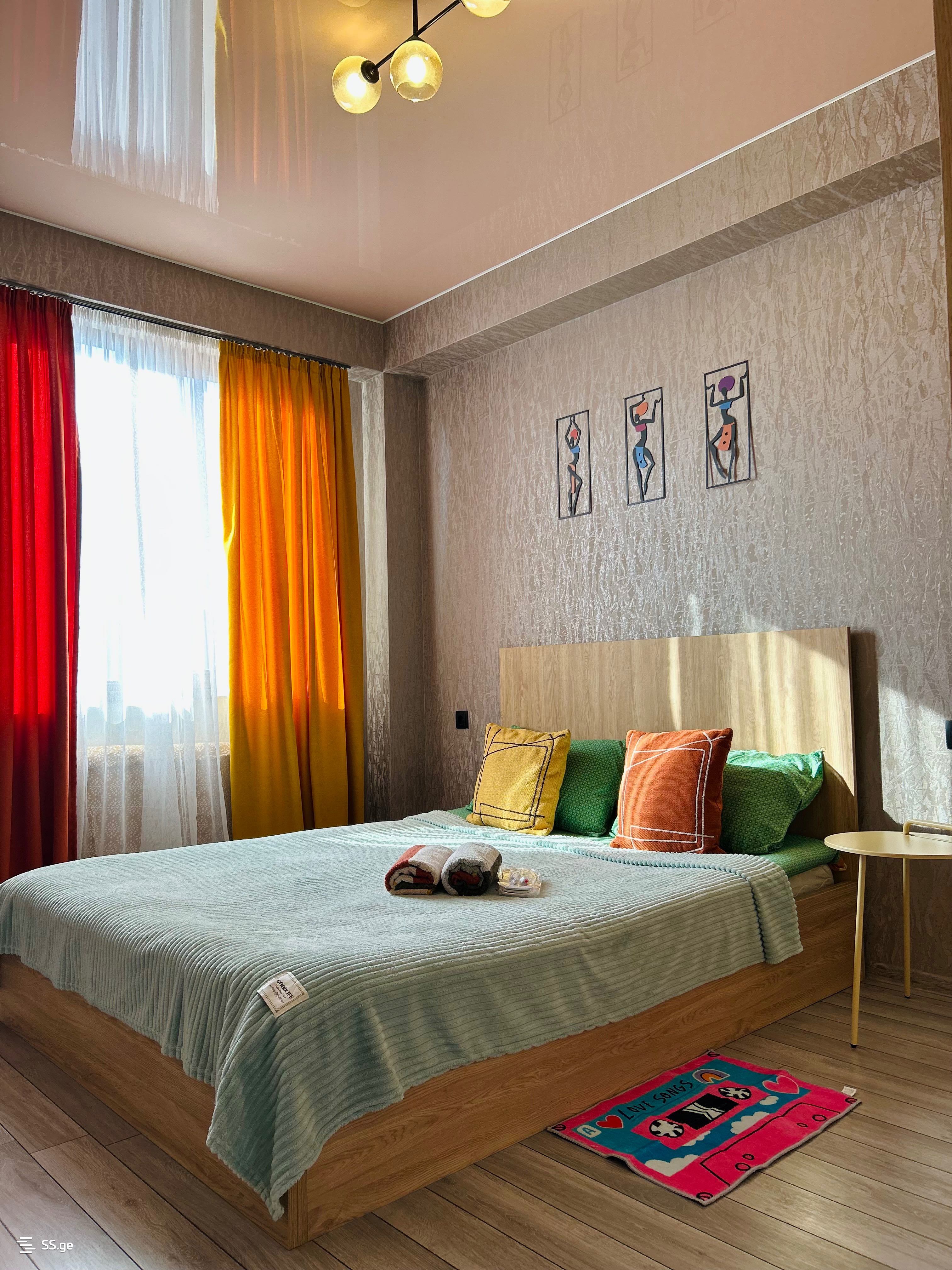 2 Room Flat Daily Rent. Didi Digomi, 4 of 4