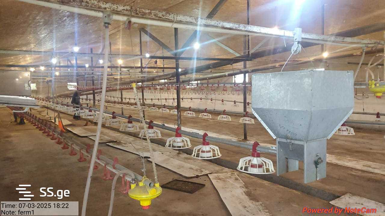 Продажа Store-Industrial Property в каспи view 4