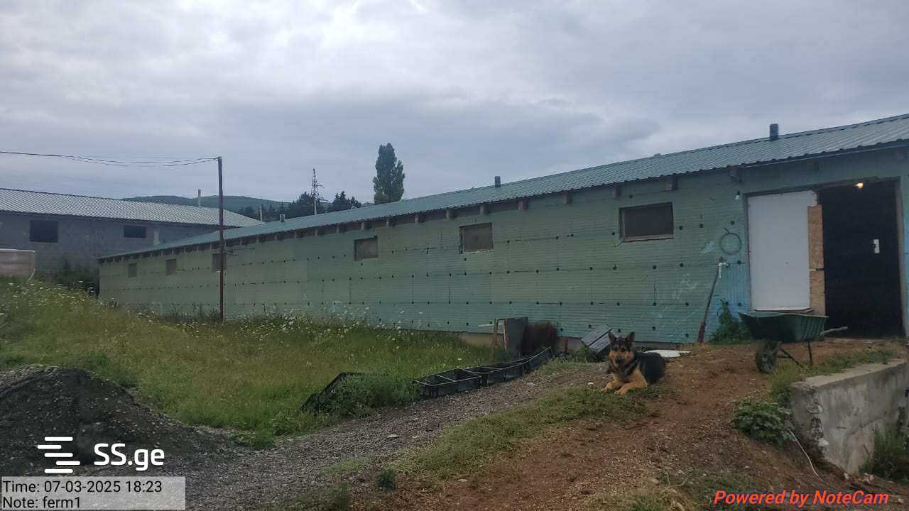 Продажа Store-Industrial Property в каспи view 1