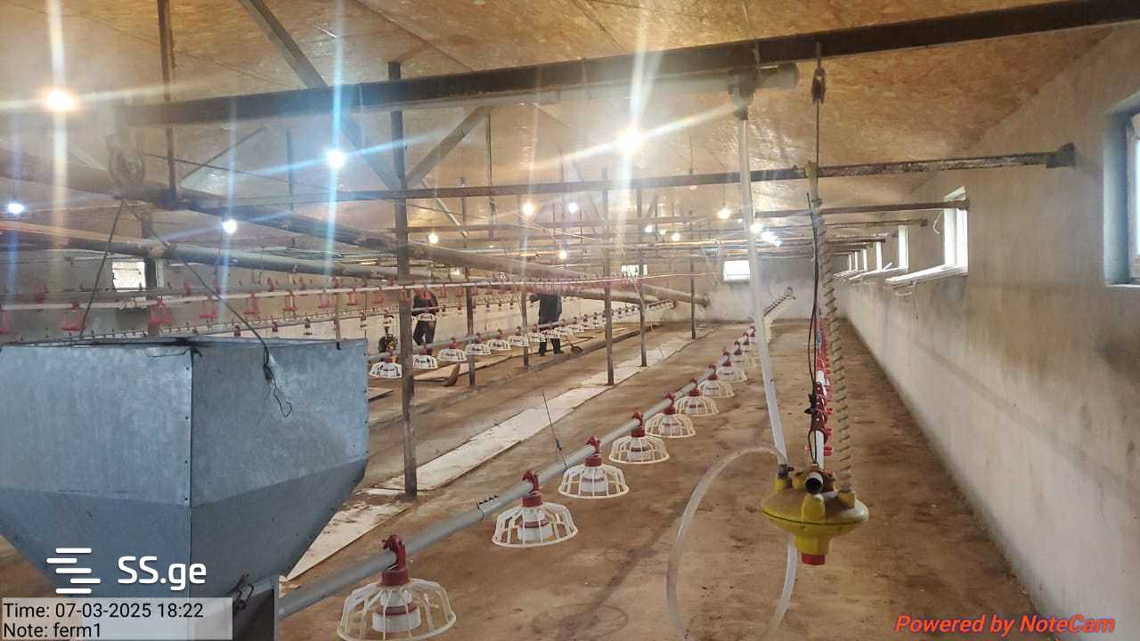 Продажа Store-Industrial Property в каспи view 6