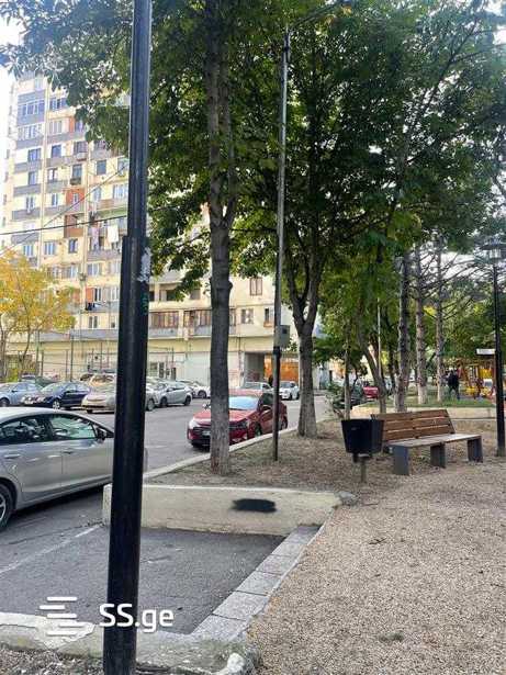 https://static.ss.ge/20251118/12_e4f4f31c-959d-412c-b904-53dd4ff06615_Thumb.jpg