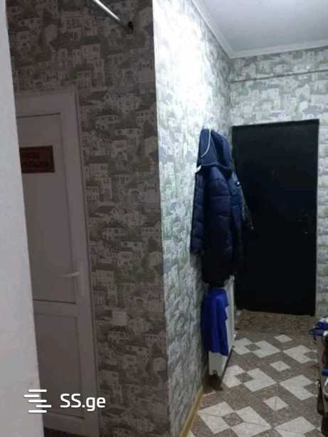 https://static.ss.ge/20251118/9_2cfba013-819d-4473-b0c7-071a81faed40_Thumb.jpg