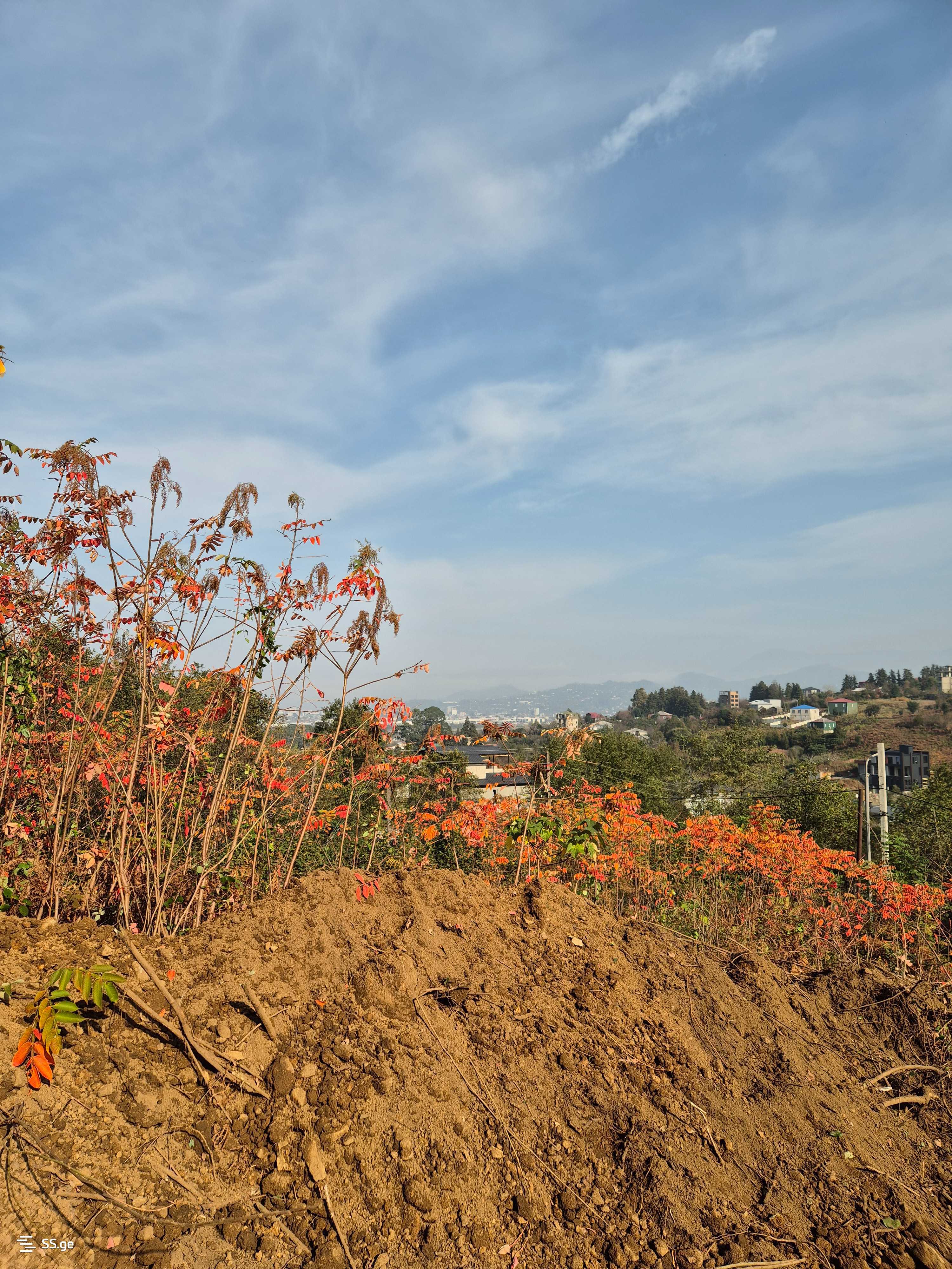Land For Sale. Akhalsopeli view 3