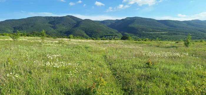 Land For Sale. Zakaro