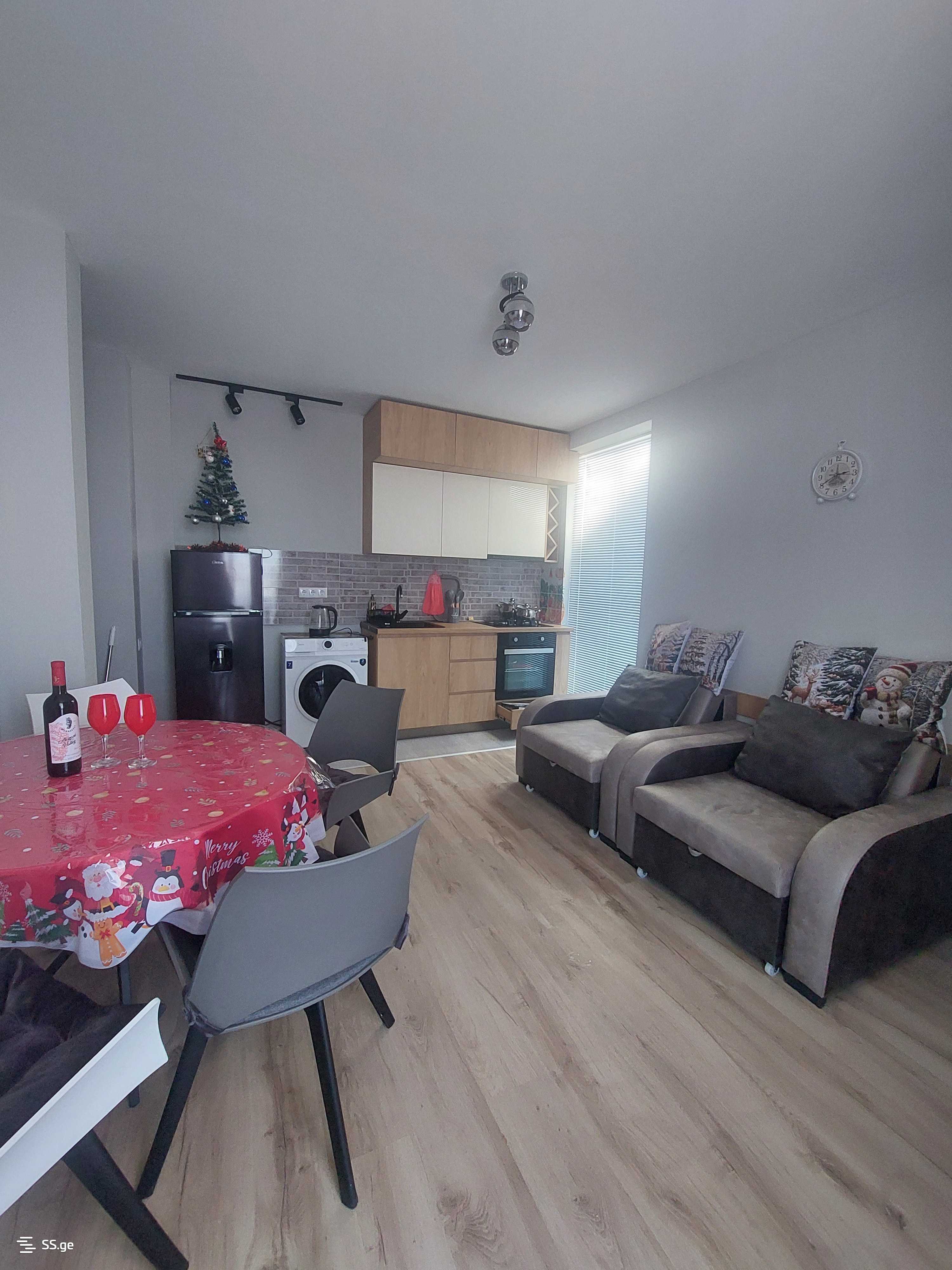 2 Room Flat Daily Rent. Bakuriani view 7