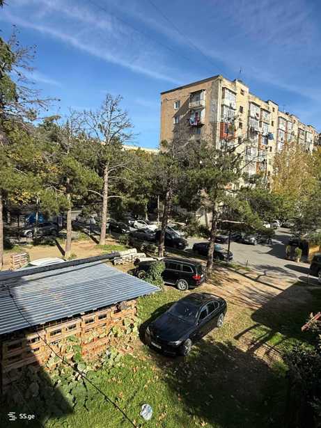 https://static.ss.ge/20251119/6_a3f38514-0c95-4e90-a61b-1810d9abaeae_Thumb.jpg