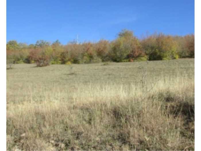 Land For Sale. Dusheti