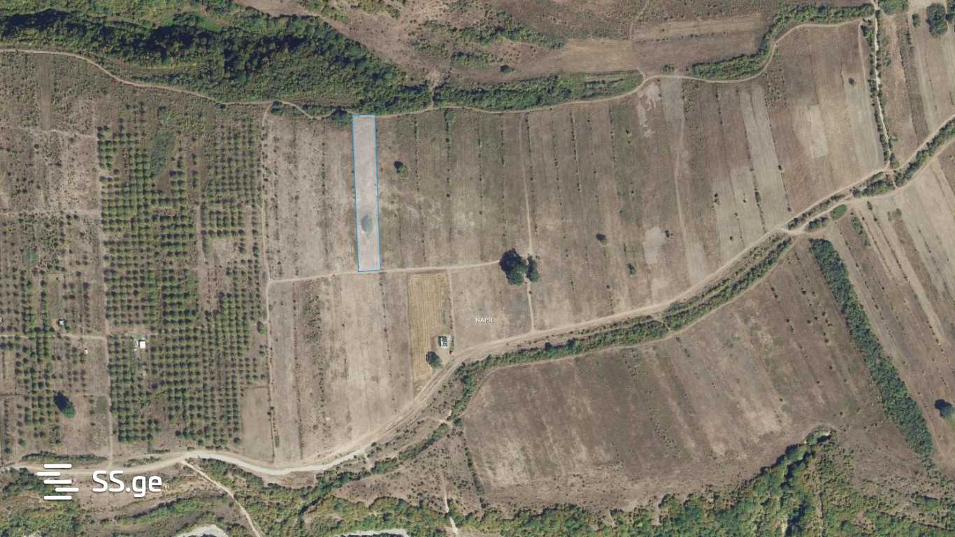 Land For Sale. Saguramo