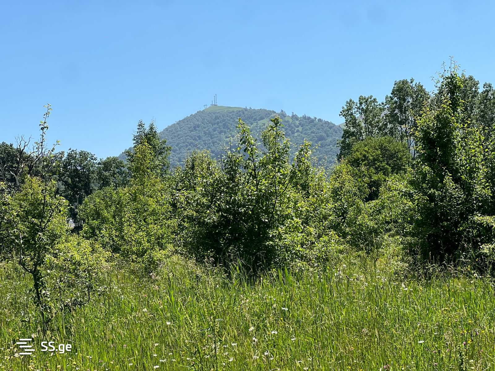 Land For Sale. Bakuriani