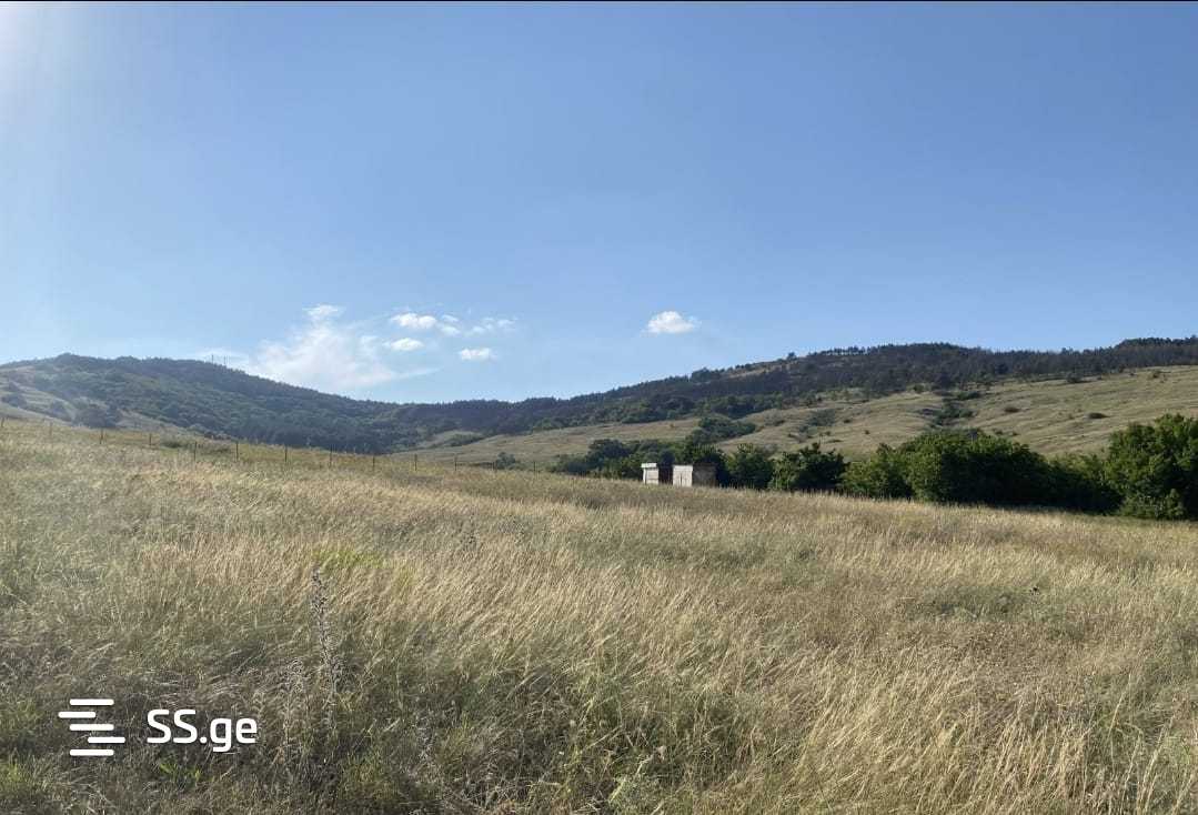 Land For Sale. Gardabani, 1 of 4