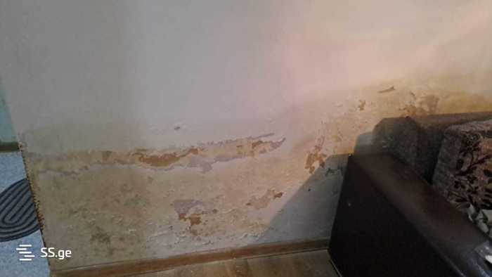 https://static.ss.ge/20251121/7_1a6e4804-e2cb-4b13-ba34-b3f2798865d7_Thumb.jpg