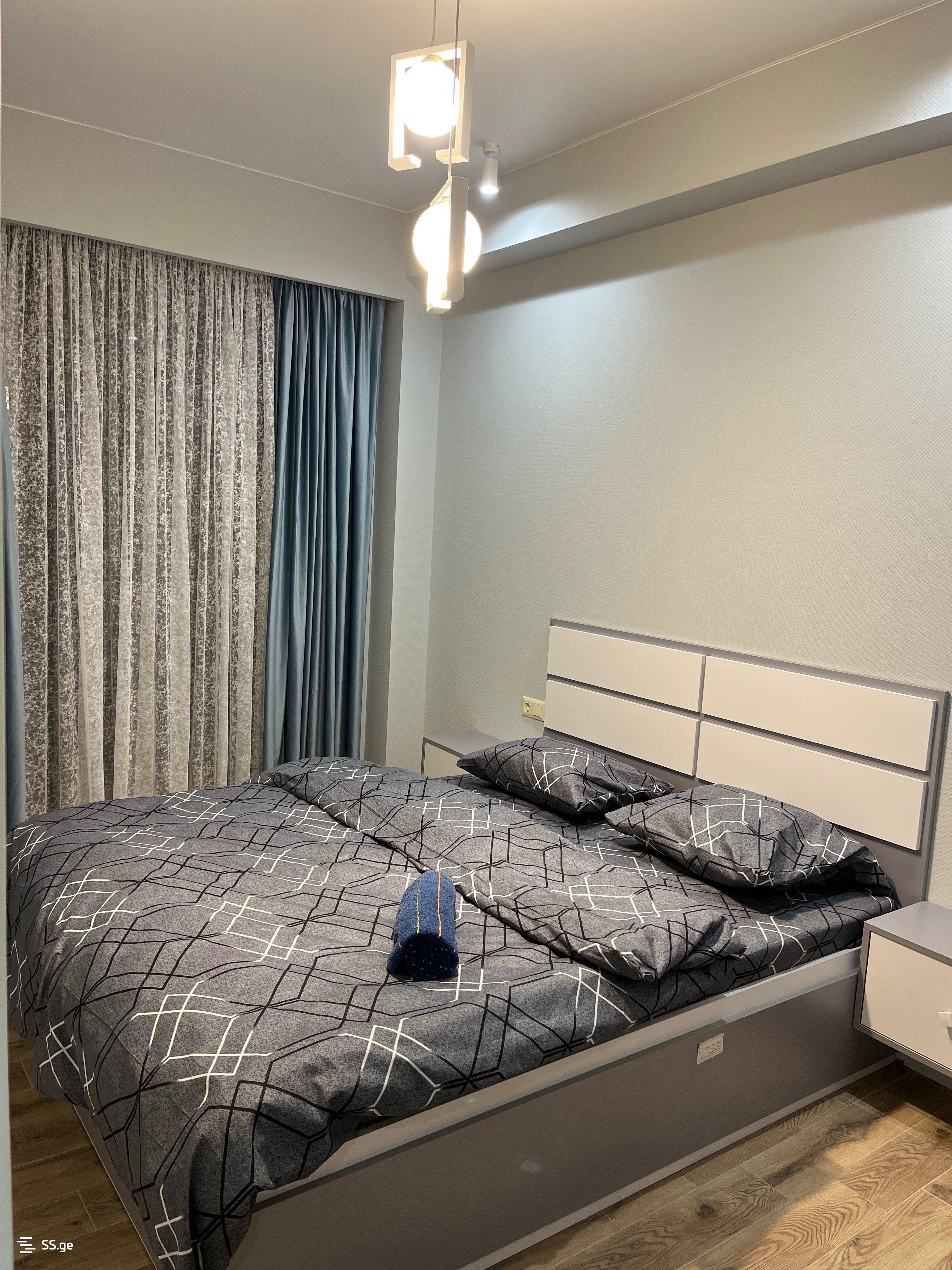 2 room Flat Daily rent. Didi digomi - Widok 6
