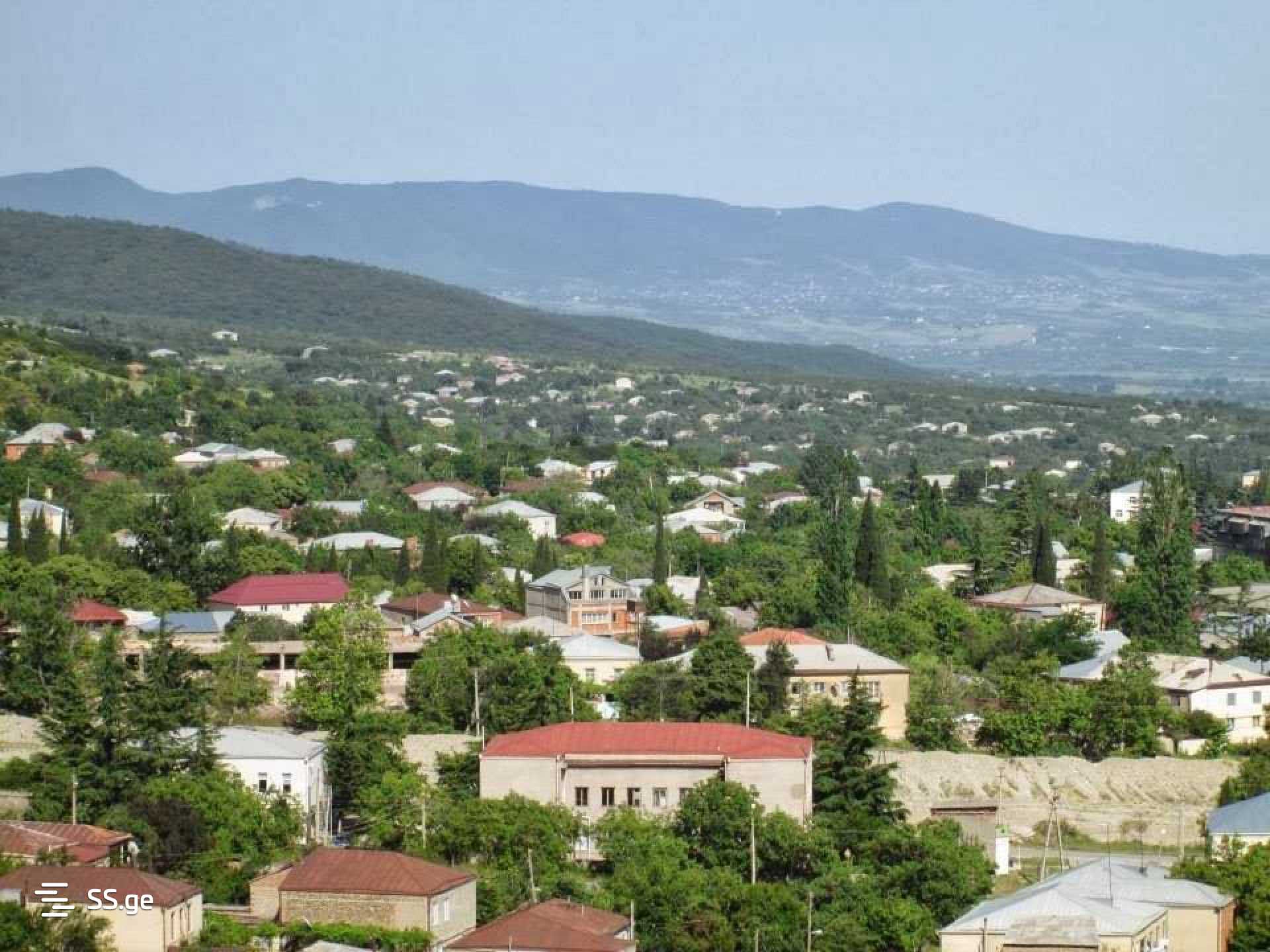 იყიდება მიწა საგარეჯოში view 5