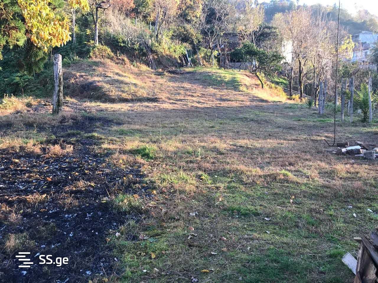 Land For Sale. Makhindjauri view 6