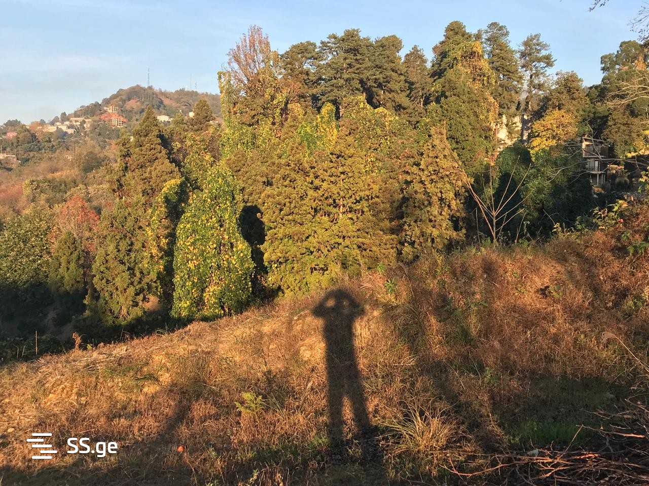 Land For Sale. Makhindjauri view 3