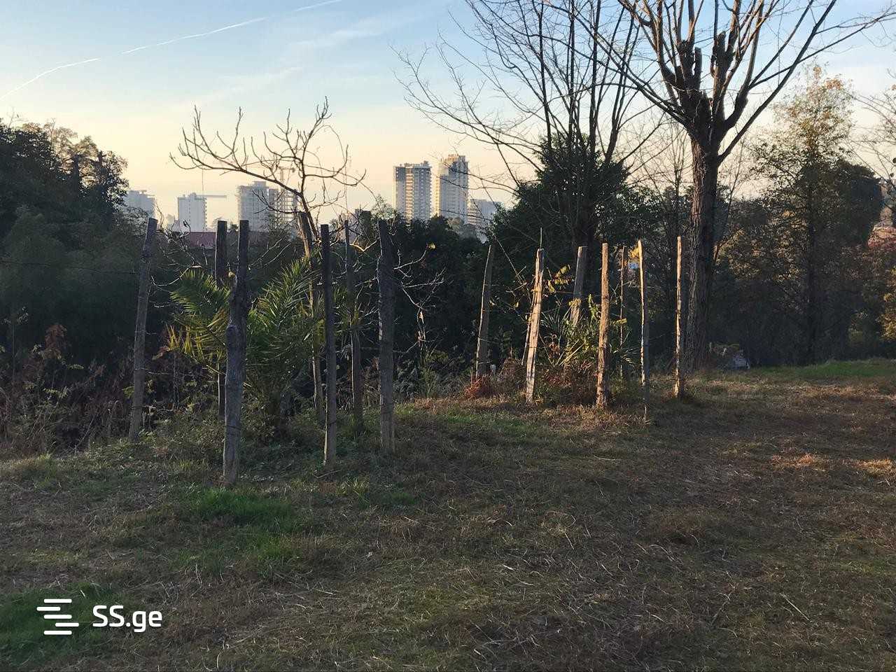 Land For Sale. Makhindjauri view 2