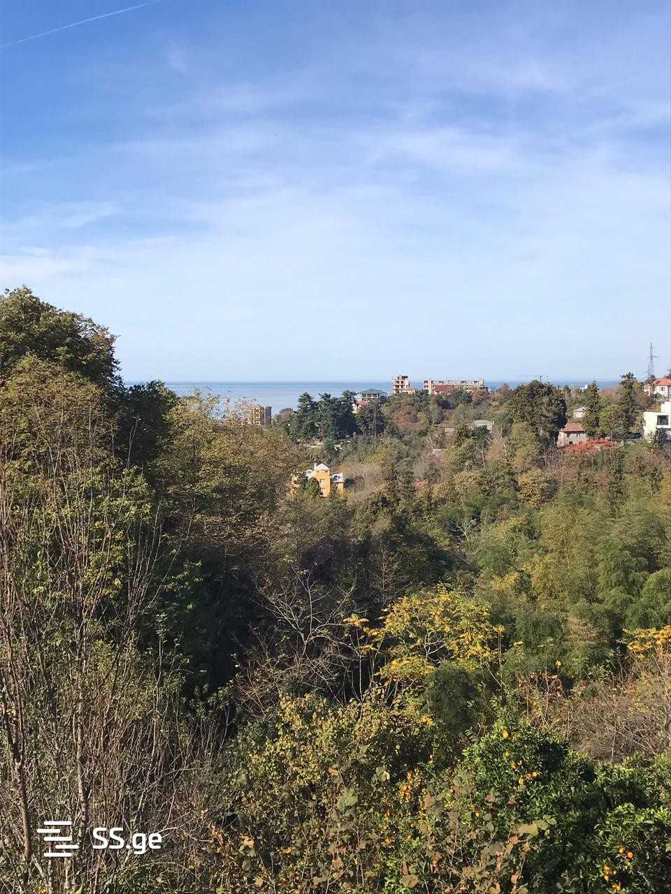 Land For Sale. Makhindjauri view 5