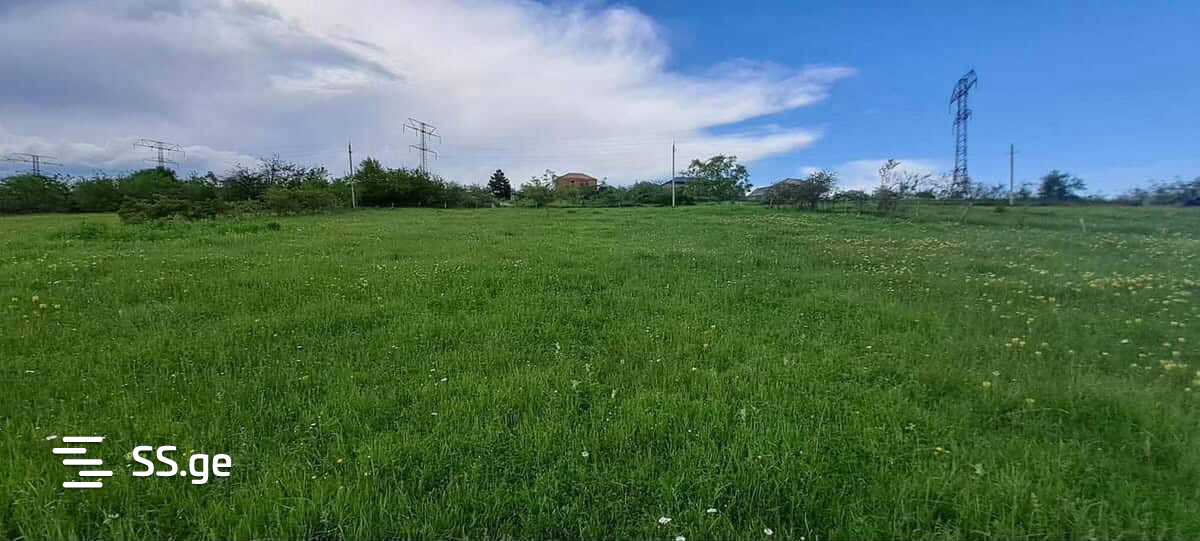 Land For Sale. Orbeti view 1