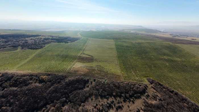 Land For Sale. Akhalsopeli