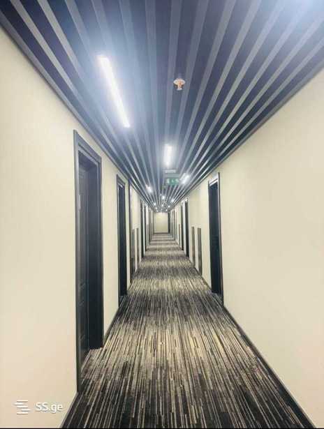 https://static.ss.ge/20251124/19_4fd94ebf-3f5f-4582-b73d-596ccb44355b_Thumb.jpg
