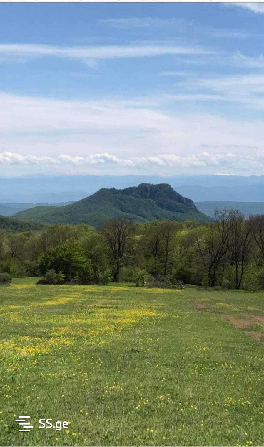 Land For Sale. Orbeti view 2