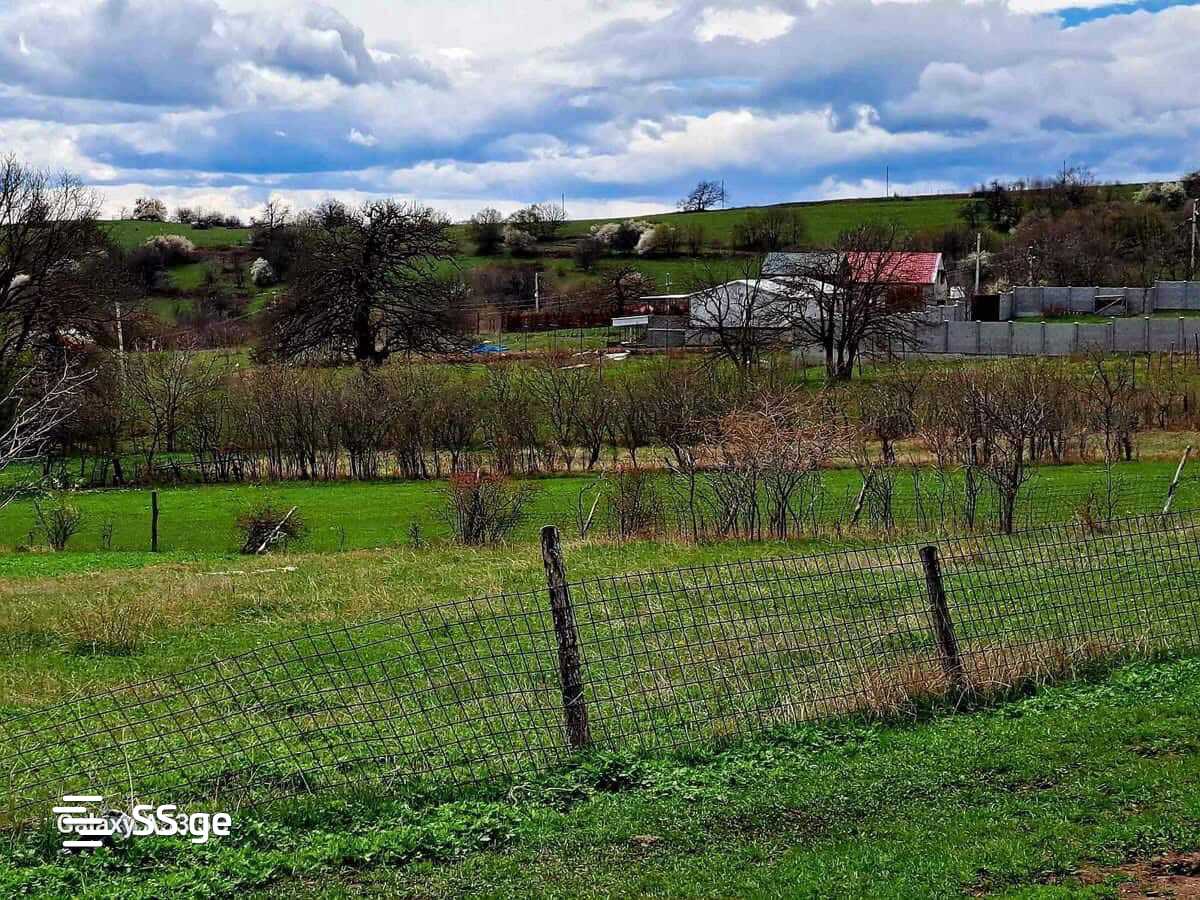 Land For Sale. Orbeti view 3