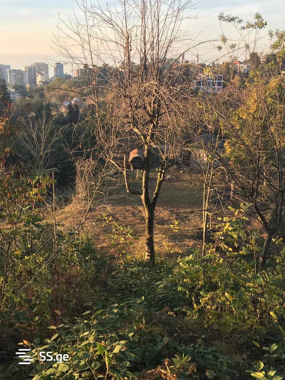 Land For Sale. Makhindjauri view 4