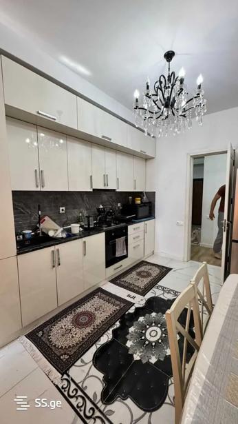 https://static.ss.ge/20251125/12_03d9d04d-0474-4989-9550-8af265da4f91_Thumb.jpg